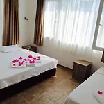 أغان بنسيون *
