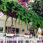Agan Homestay Bodrum