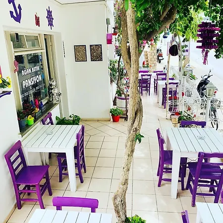 Séjour chez l'habitant Agan Bodrum