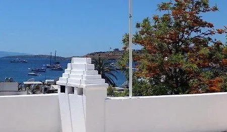 Gazde/Camere de închiriat Agan *