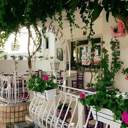 Quarto em Acomodações Particulares Agan Bodrum