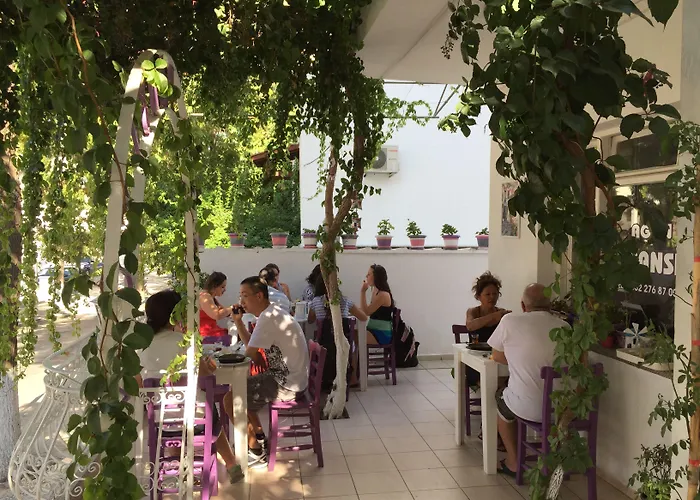 Проживание в семье Agan