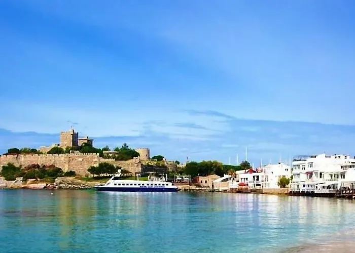 Проживание в семье Agan *