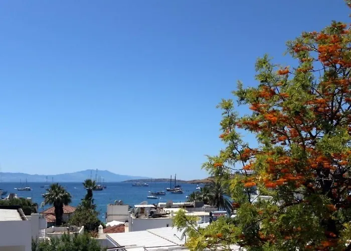 Habitación en casa particular Agan
