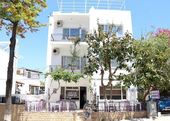 Проживание в семье Agan