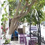 Agan Bodrum