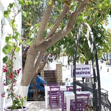 أغان بنسيون بودروم
