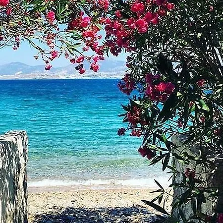 Agan Bodrum