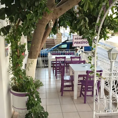 أغان بنسيون *