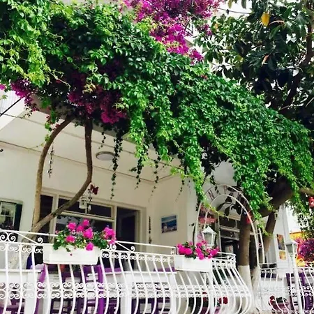 Agan Homestay Bodrum