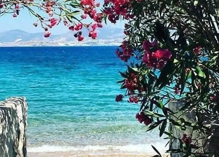 أغان بنسيون