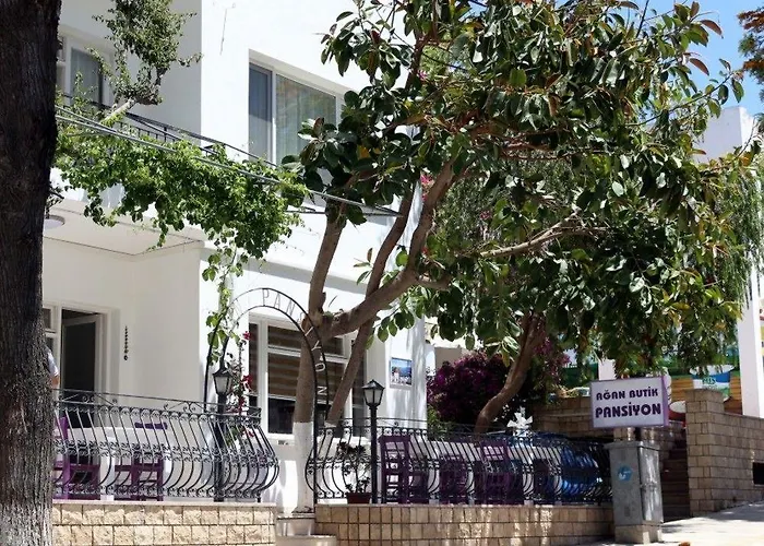 أغان بنسيون